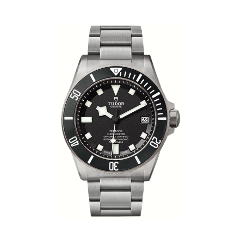 Tudor Pelagos 25600TN